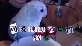 591a540feff491ecee4cc5df0d2dc592a6a8fa33.jpg@280w_158h_1c_100q.jpg