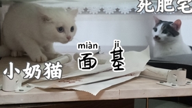 592910b543314cfb685496f54e74db896ff7b053.jpg@280w_158h_1c_100q.jpg
