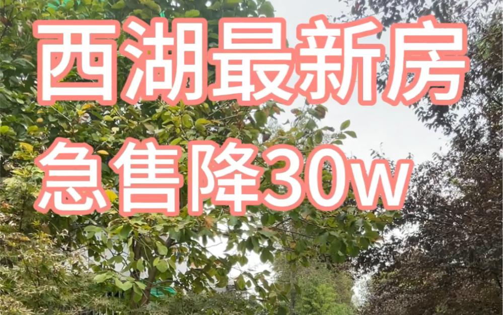 西湖最新房吴山人家 急售降价30万 性价比超高 2楼!哔哩哔哩bilibili