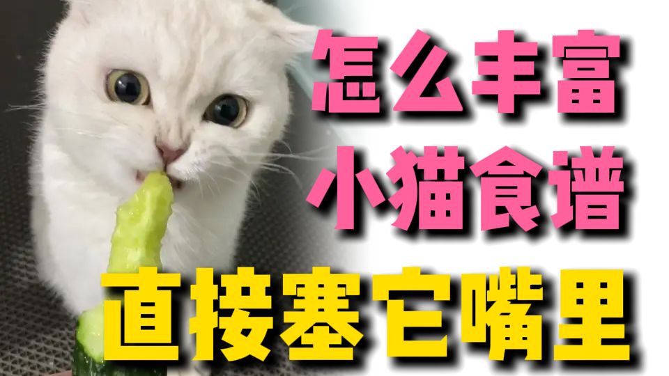 为什么你吃啥你家猫都想尝一口？