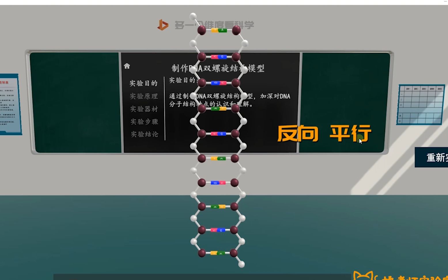 橘老师实验室 dna的结构 哔哩哔哩 bilibili