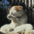 【NHK纪录片】猫咪记录片 猫与勺 01 我是一只猫 活在镰仓 养老孟司与小圆【双语字幕/@历史独角兽】