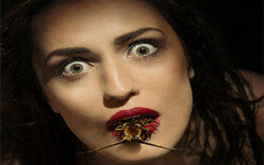 【恐怖】变蚊人\/刺痛\/噬咬 2016【720P中英字