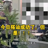 百日搭讪之第三天#街头搭讪#社牛#美女