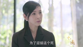 跑男第十三季第12期 59a4de37f39822374529f4ca150e56b35744926a.jpg@280w_158h_1c_100q.jpg