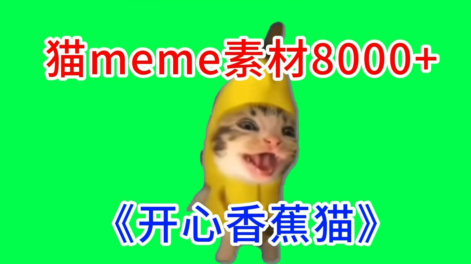 【开心香蕉猫！】猫meme绿幕素材完整分享～，猫meme素材整合分享，合集分享！