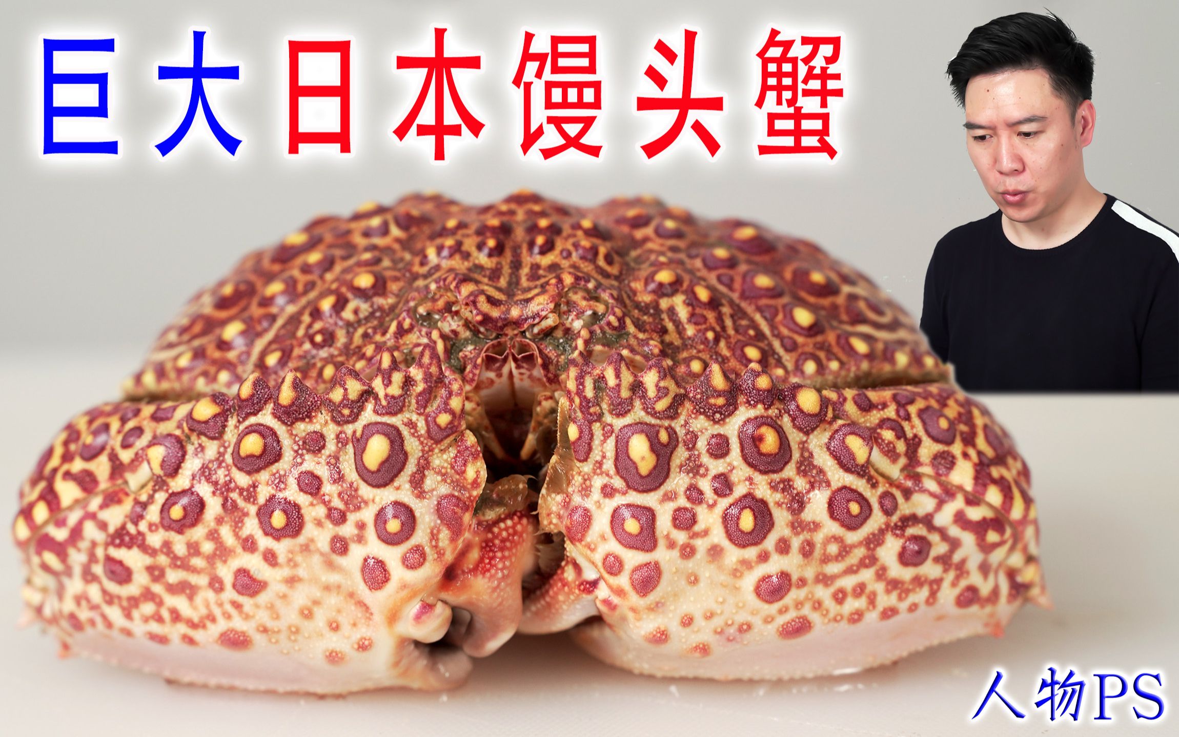 活的巨大日本馒头蟹，看似含有剧毒，却超级好吃