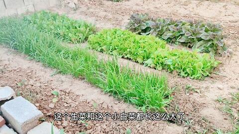 59b55657bc1fd67c180960c944b7368687529305.jpg@480w_270h_1c