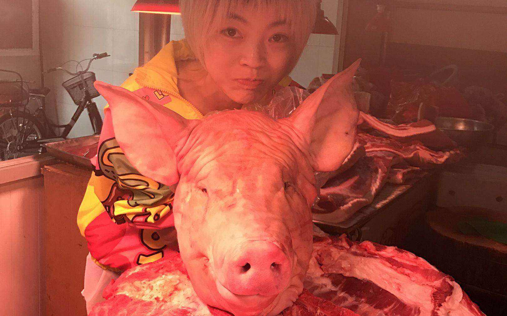 一整个儿大猪头~猪弟兄对不住了^中国吃播.大白哥