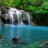 【大自然BGM】热带雨林的声音 Relaxing Sounds
