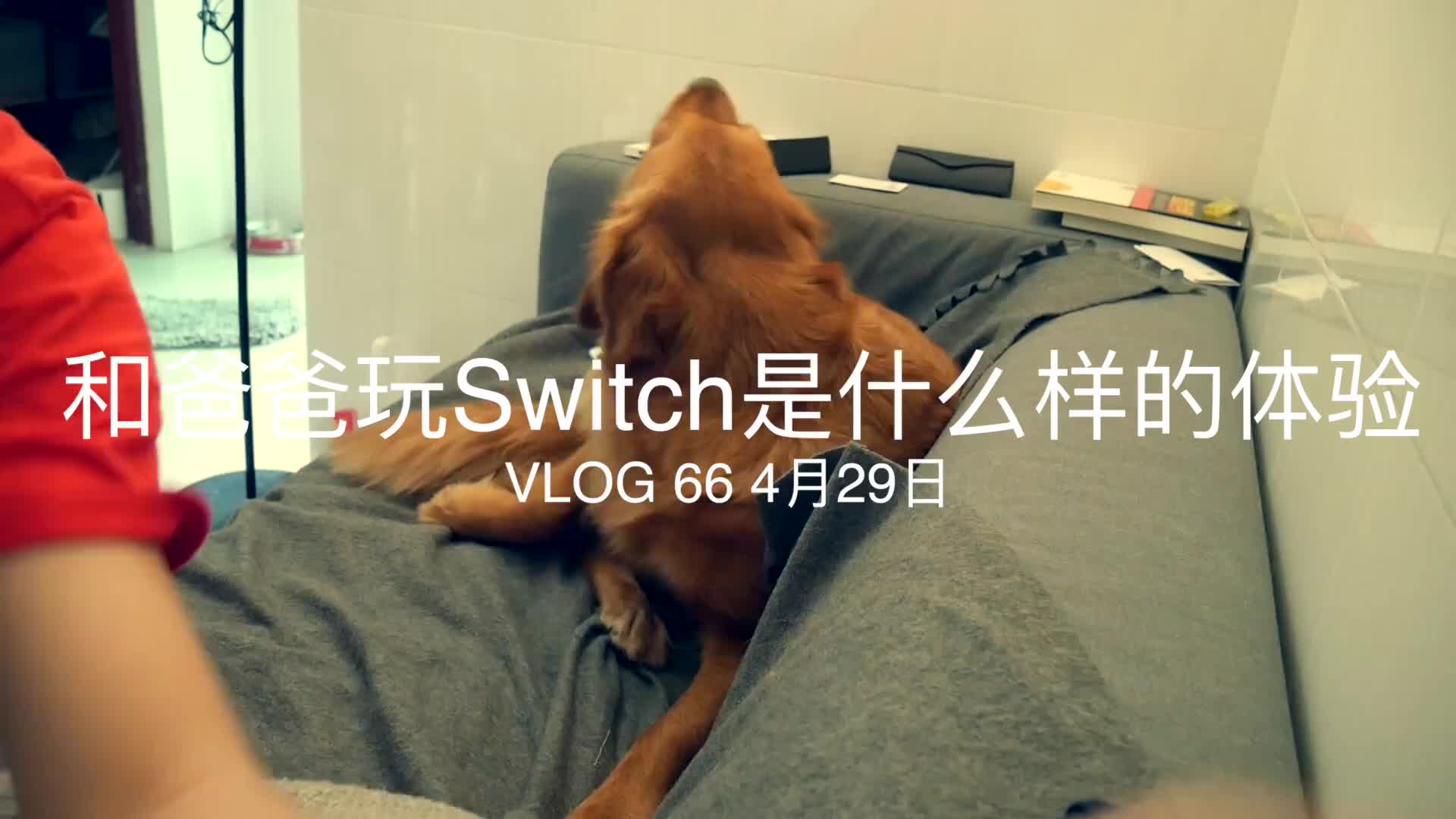 两男一狗和爸爸一起玩12switch是什么体验任天堂switch开箱vlogep66