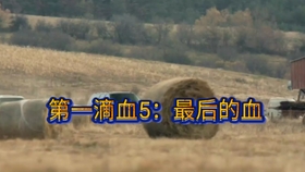 59f9cab7473139cbe76a39660a7b1e39cbcbdd0b.jpg@280w_158h_1c_100q.jpg