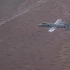 A-10攻击机的空中飞行镜头