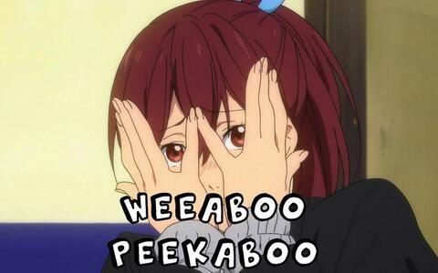 bilibili