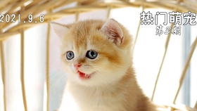 5a10708ea4f3f97fe3ee87b8e2f4e99ef2eb5e92.jpg@280w_158h_1c_100q.jpg