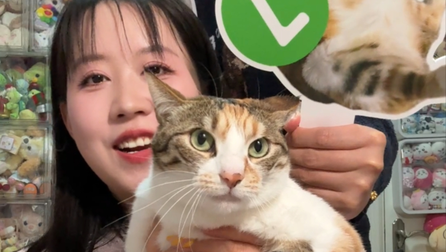 下个月结轰，接亲游戏急需小猫照片～别轻易放过这个男的！