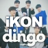 【iKON-dingo合集】更新至Goodbye Road Live