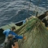 海上捕鱼，看看这一网的收获到底啥样