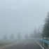 能见度不足二十米之熊师傅雾天开车教程