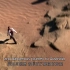 记录片：神奇的古人类旅程The Incredible Human Journey s01e04中英文字幕