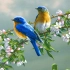 清晨鸟叫声，来自大自然的声音祝福 | 放松音乐2021