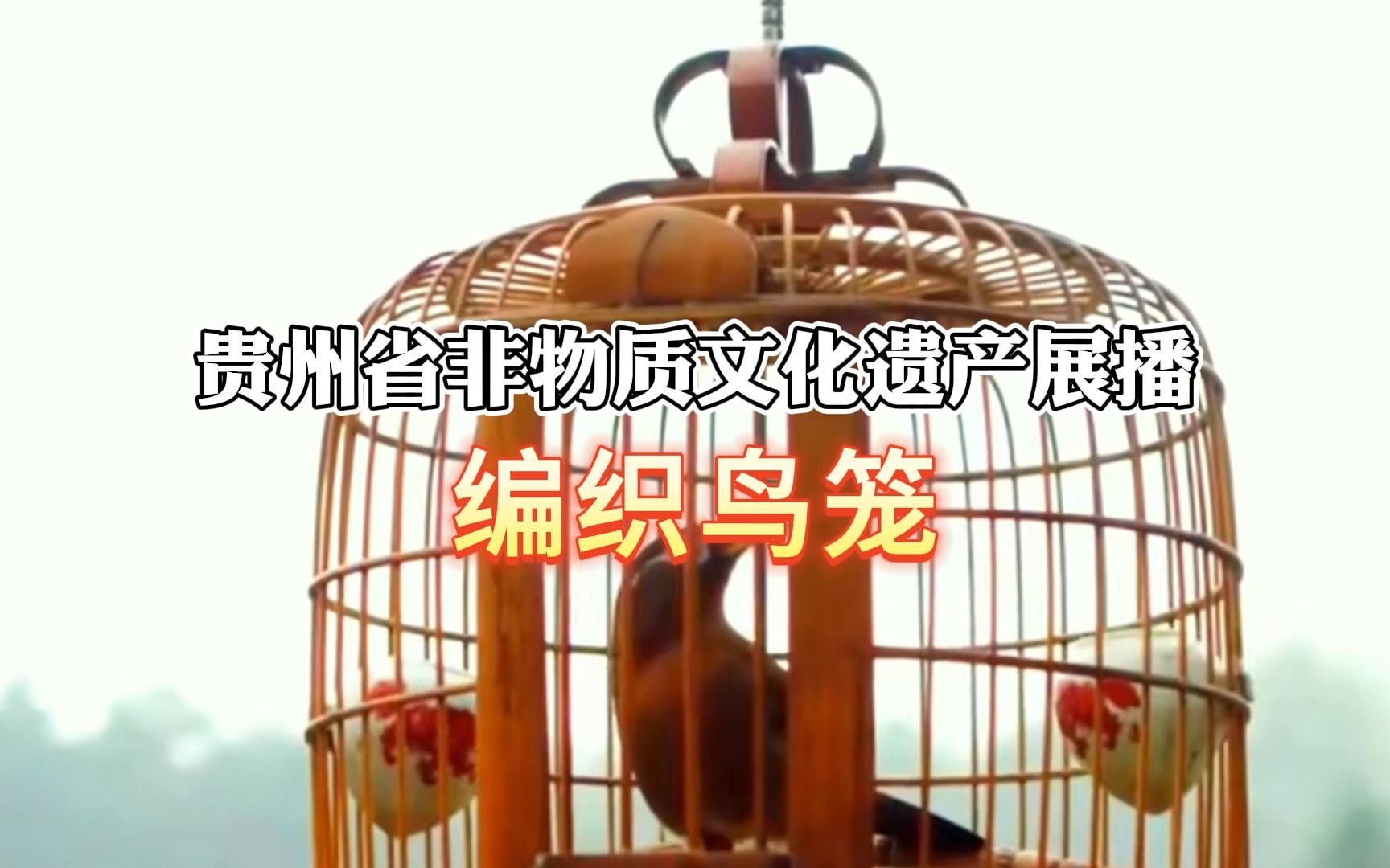 编织鸟笼——贵州省非物质文化遗产展播