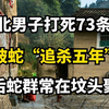 湖北捕蛇男子，被蛇咬死后坟头成为群蛇聚集地，蛇真的会记仇吗