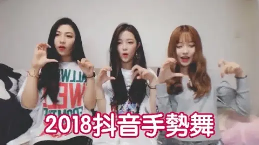 2018抖音火热流行过的手势舞 看看有没有你喜欢的