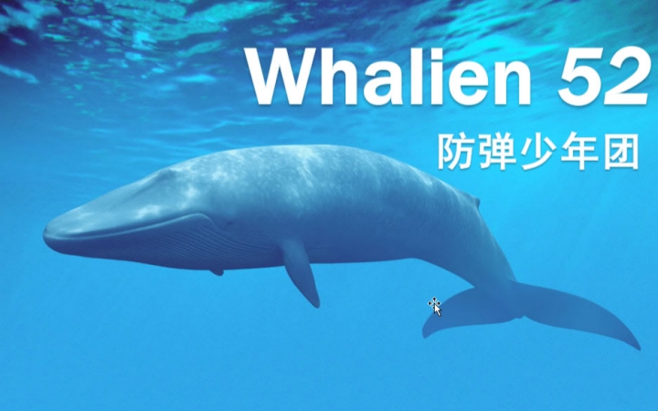 【防弹少年团】whalien52