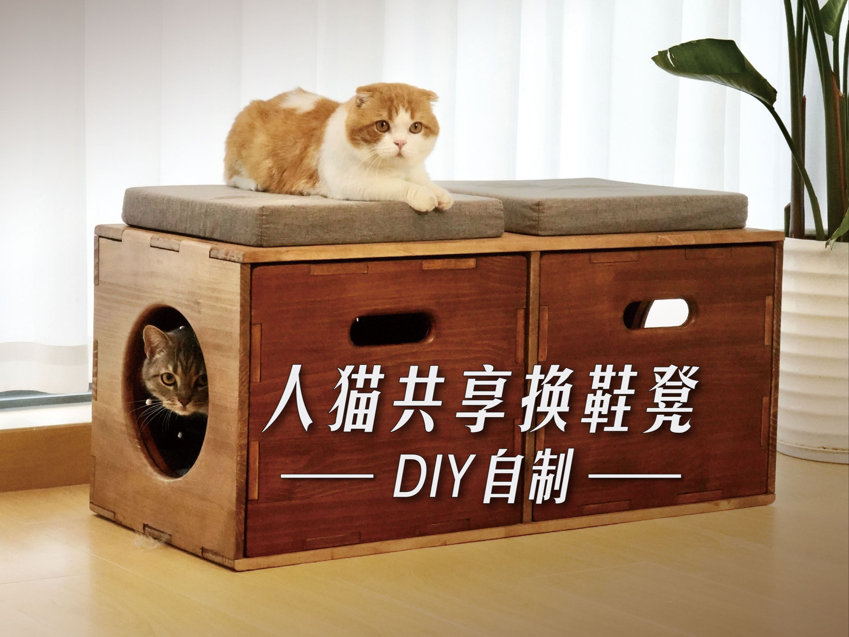 自制DIY人猫共享换鞋凳！组队撸猫太方便啦！