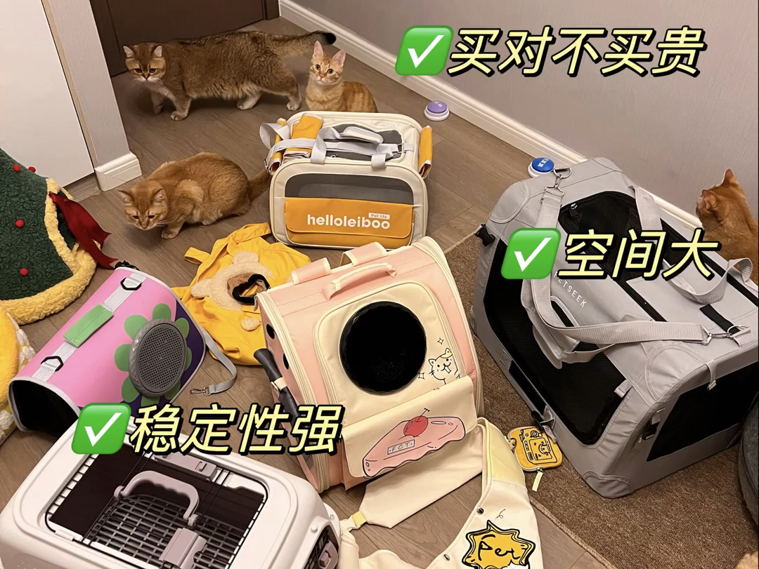 新手养猫必看：猫咪出行猫包选择方法，一个视频绝对能选到