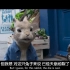 《彼得兔2•逃跑计划》2～5人 英语视频配音素材 消音视频配音素材