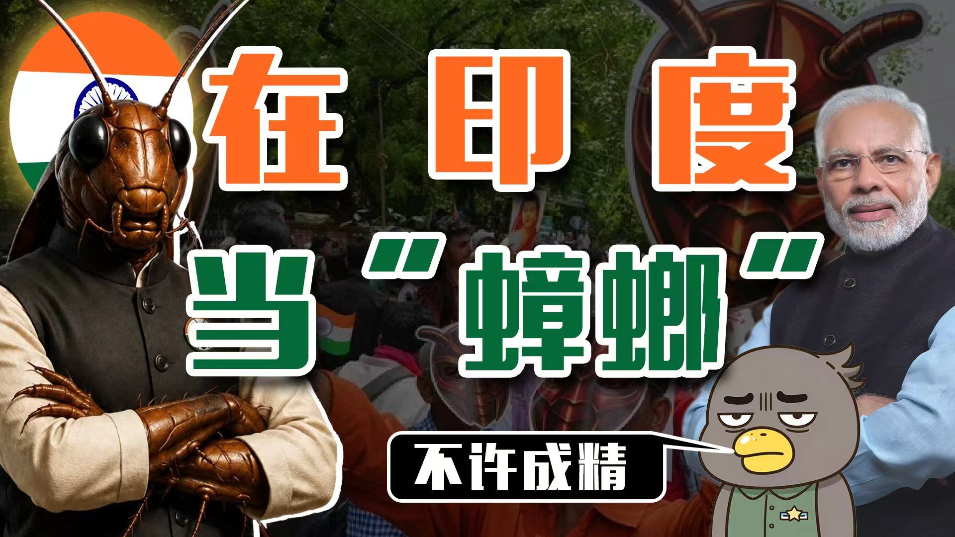 活在印度，不如当个“蟑螂"【乌鸦校尉】