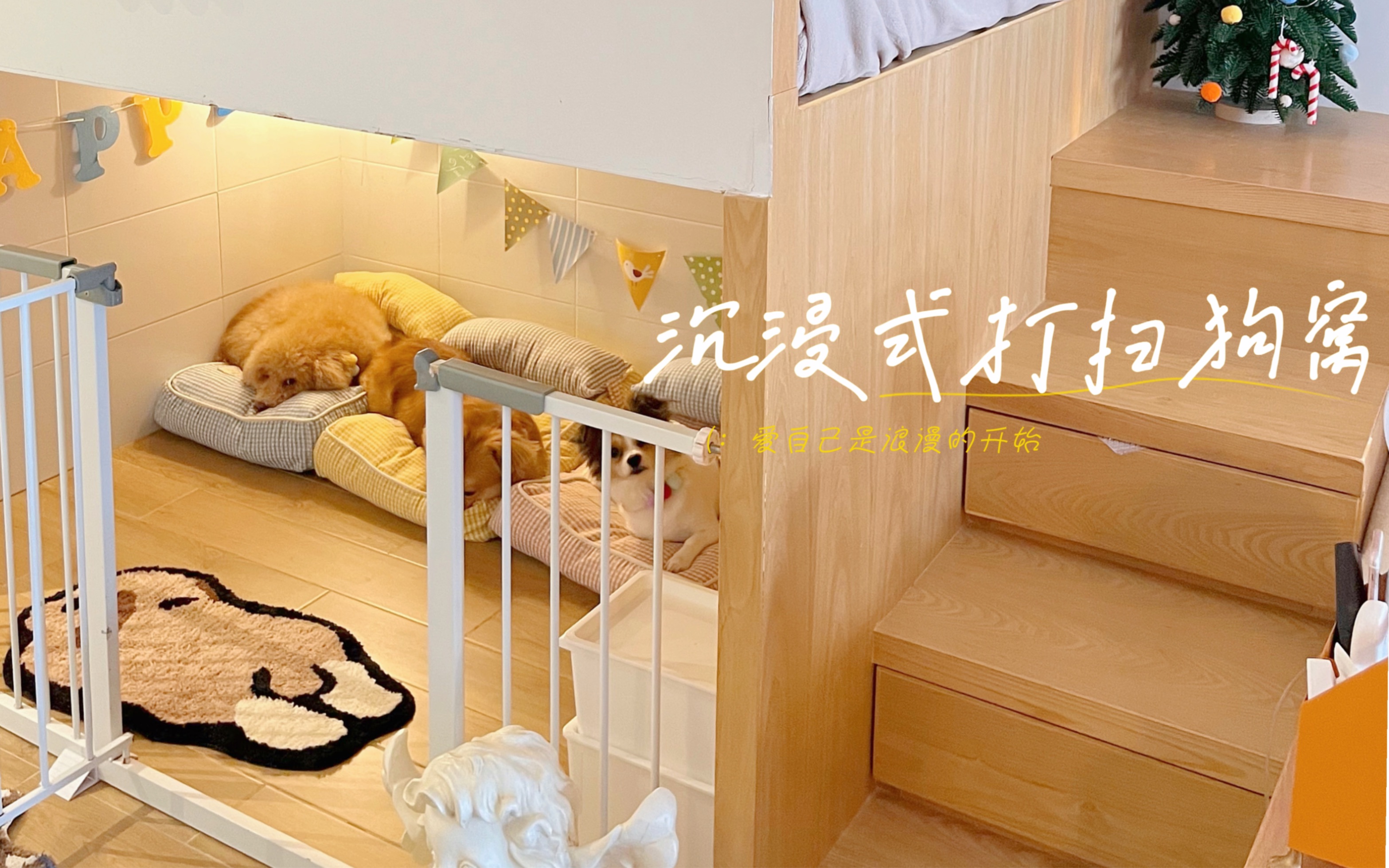 沉浸式打扫狗窝 | 跟狗狗上下铺真的很好