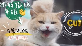 猫爱吃虾 5ae9de98a4ac47758a5bba6be84fd57ab71f56ed.jpg@280w_158h_1c_100q.jpg