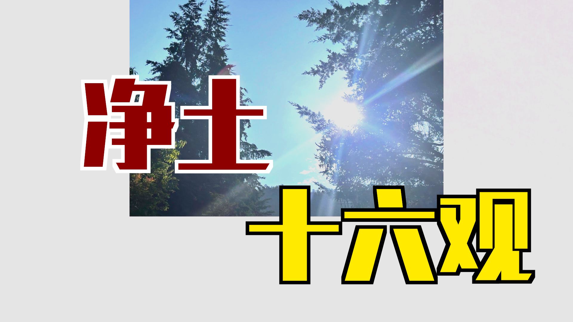 体佛法师开示：十六观