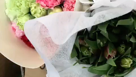 怎么养多头玫瑰 5af4ec2530e5aa4e9dc2c70fd3bc52739153f6ed.jpg@280w_158h_1c_100q.jpg