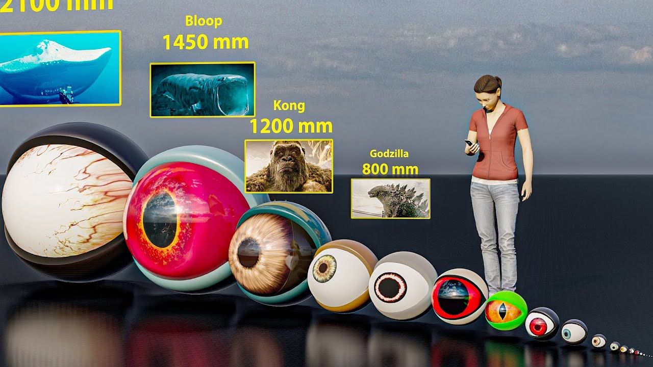 【超级比一比】怪物的眼球尺寸对比#动物#动画