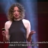 【TEDx】太阳能的美好未来