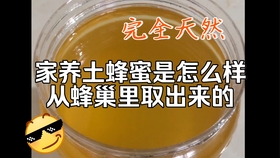 5b046ddc5fb2d36cac5ccd5e27eeab7d533a33ef.jpg@280w_158h_1c_100q.jpg