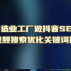 制造业工厂做抖音SEO短视频搜索优化关键词排名-维护排名