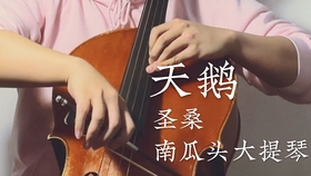 天鹅圣桑小提琴曲谱_圣桑天鹅小提琴(5)