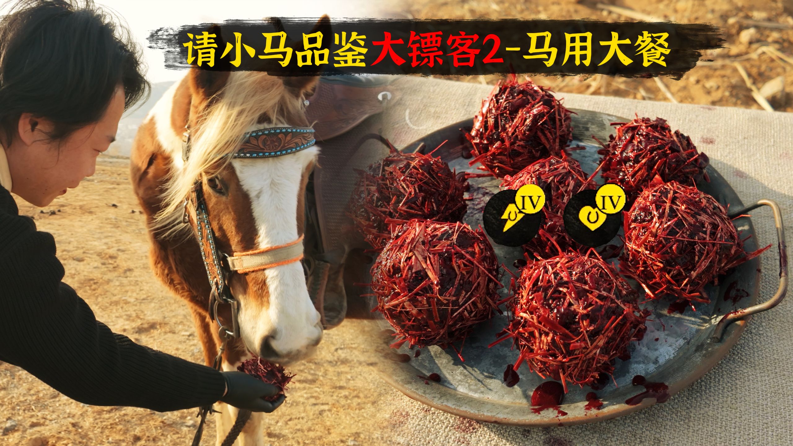 【西部疯味】请小马测评黄金核心之马用大餐-传说吃了跑一天都不累？