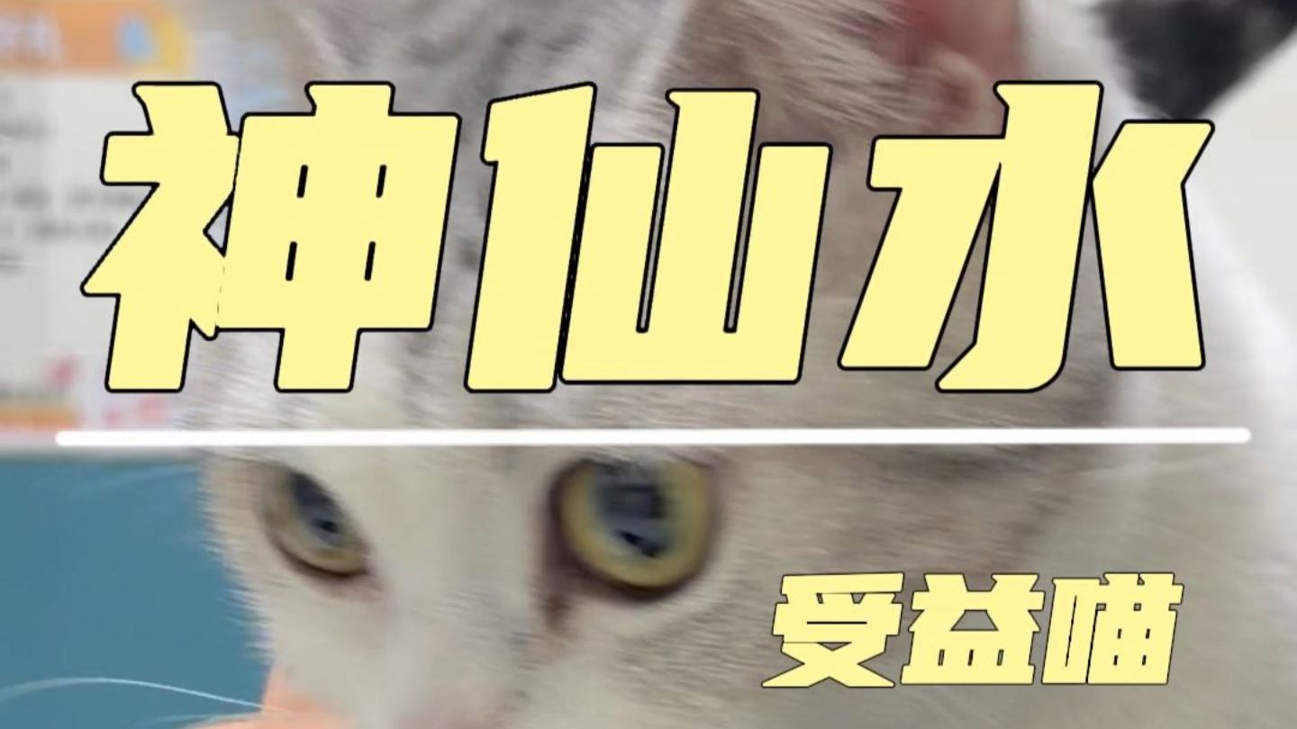 点赞抽神仙水配方