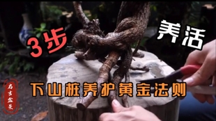 5b416efcc7acaee820dd2801392f401970838b10.jpg@310w_174h_1c_100q.jpg