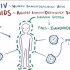【搬运osmosis】HIV & AIDS