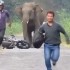 两个外国大哥骑摩托车，被大象疯狂追赶，这奔跑姿势真搞笑