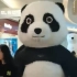 北极熊熊猫人偶活动引流氛围超燃人穿充气卡通服装开业庆典年会表演形象逼真可爱网红大熊猫