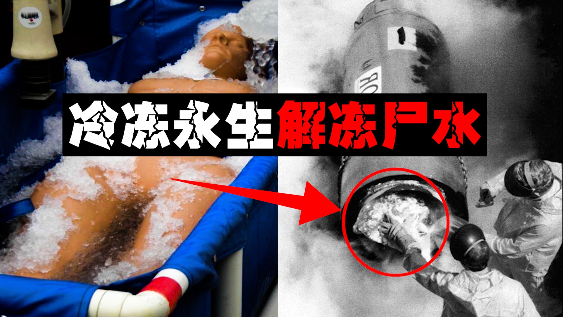 【人体冷不冻】首批冷冻人没复活反倒化成尸水被冲掉，冷冻永生变成了笑话。。。