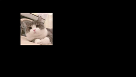 怎么变得冷漠不近人情 5bd032a41d9801eabc7820ae81c65bb6ac40c682.jpg@280w_158h_1c_100q.jpg